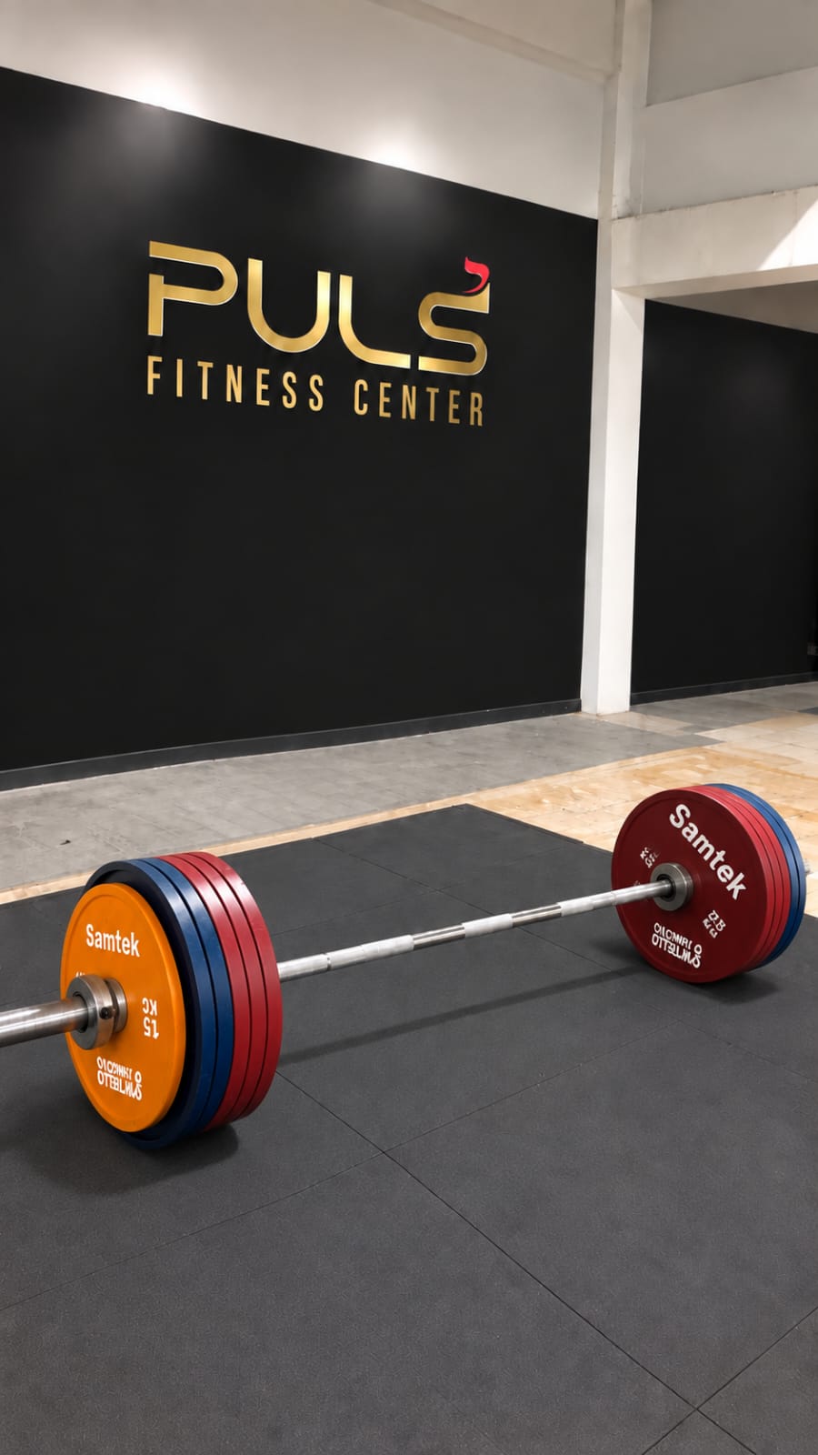 PULS gym strength equipment